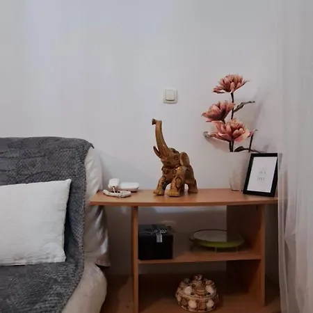 Asami Vrnjačka Banja