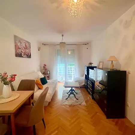 Asami * Vrnjačka Banja