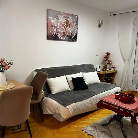 Asami アパート Vrnjačka Banja