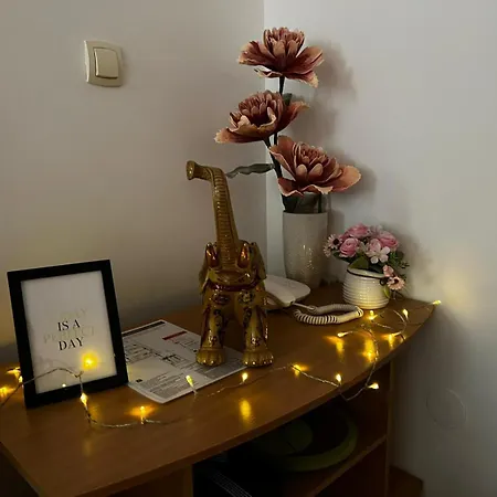 Asami Vrnjačka Banja