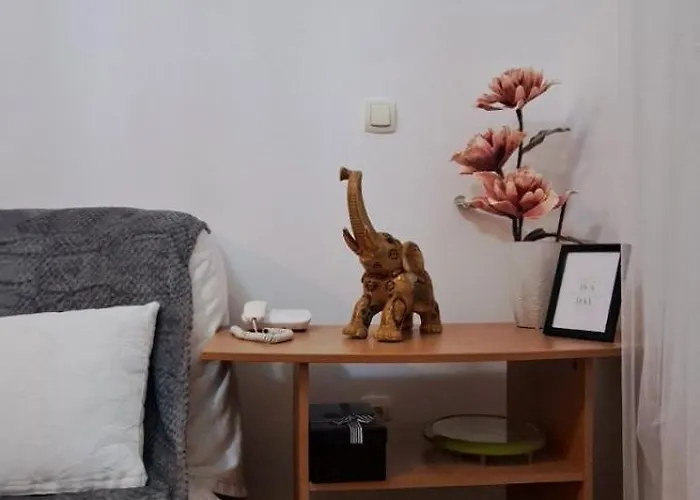 Asami Vrnjačka Banja