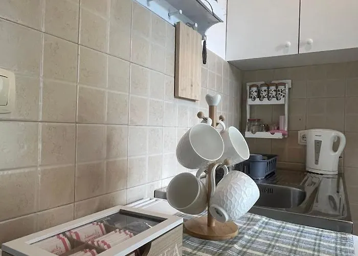 Asami * Vrnjačka Banja